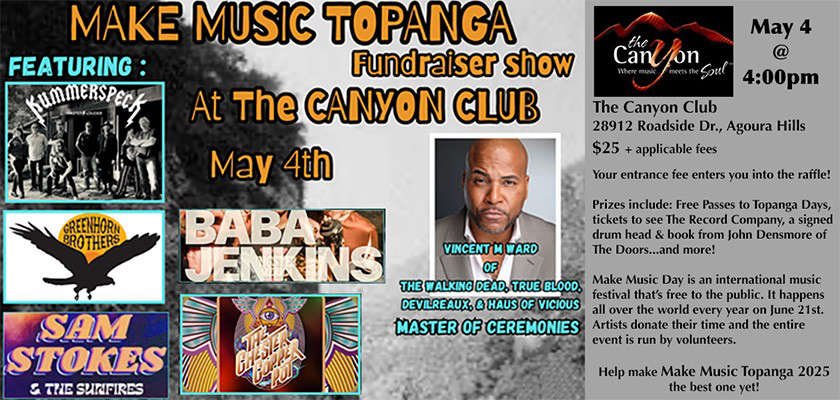 Make Music Day Fundraiser Show