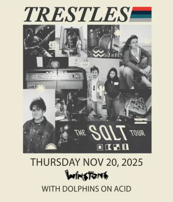 Trestles + Dolphins on Acid