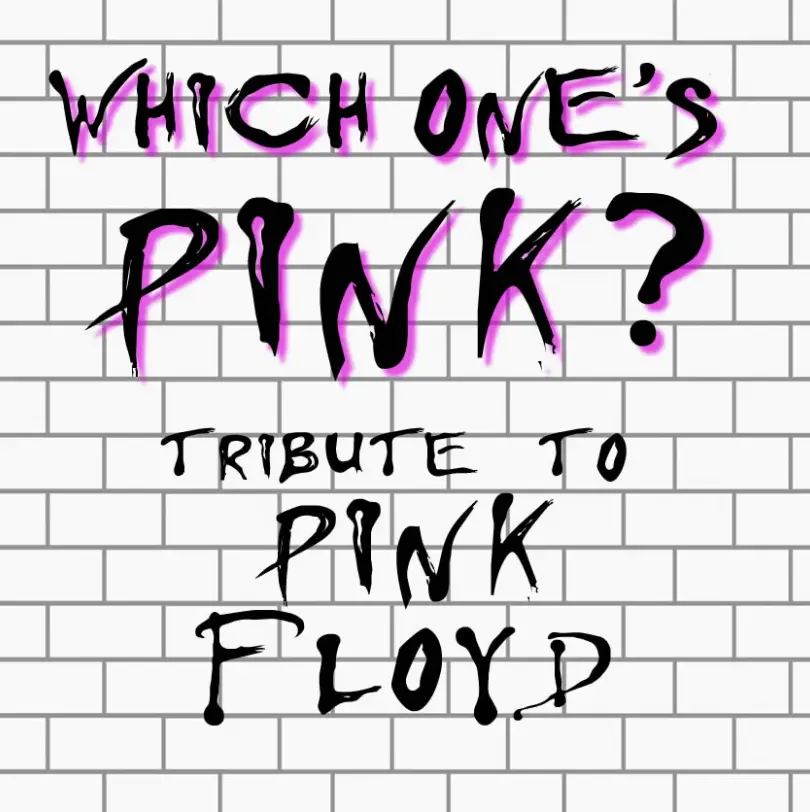 which-ones-pink Which One's Pink? Pink Floyd Tribute Band