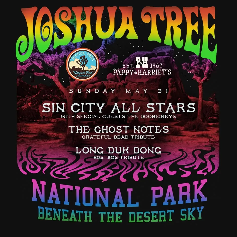 Beneath the Desert Sky 2026