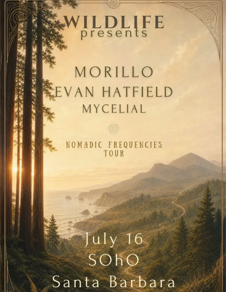 Morillo + Evan Hatfield + Mycelial
